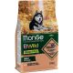 Monge BWild Adult Gabonamentes Száraz Kutyatáp (Lazac és Borsó) - 2,5 kg