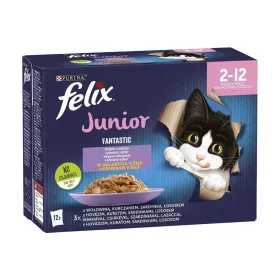   Felix Fantastic Vegyes Válogatás Junior Nedves Macskaeledel Aszpikban (Marha, Csirke, Szardínia, Lazac) - 12x85 g