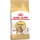 Royal Canin Bengal Adult Száraz Macskatáp - 2 kg