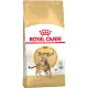 Royal Canin Bengal Adult Száraz Macskatáp - 2 kg