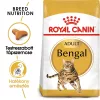 Royal Canin Bengal Adult Száraz Macskatáp - 2 kg