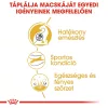 Royal Canin Bengal Adult Száraz Macskatáp - 2 kg