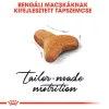 Royal Canin Bengal Adult Száraz Macskatáp - 2 kg