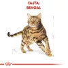 Royal Canin Bengal Adult Száraz Macskatáp - 2 kg