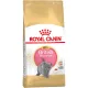 Royal Canin British Shorthair Kitten Száraz Macskatáp - 400 g