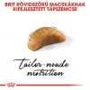 Royal Canin British Shorthair Kitten Száraz Macskatáp - 400 g