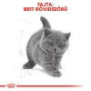 Royal Canin British Shorthair Kitten Száraz Macskatáp - 400 g