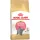 Royal Canin British Shorthair Kitten Száraz Macskatáp - 2 kg