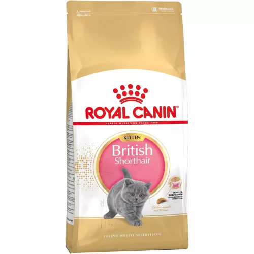 Royal Canin British Shorthair Kitten Száraz Macskatáp - 2 kg