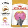 Royal Canin British Shorthair Kitten Száraz Macskatáp - 2 kg
