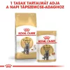 Royal Canin British Shorthair Adult Száraz Macskatáp - 400 g