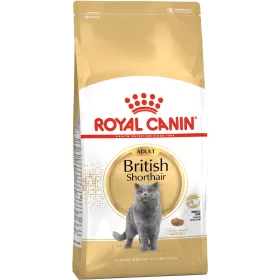   Royal Canin British Shorthair Adult Száraz Macskatáp - 2 kg