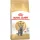 Royal Canin British Shorthair Adult Száraz Macskatáp - 2 kg