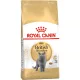 Royal Canin British Shorthair Adult Száraz Macskatáp - 2 kg
