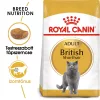 Royal Canin British Shorthair Adult Száraz Macskatáp - 2 kg