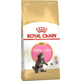 Royal Canin Maine Coon Kitten Száraz Macskatáp - 2 kg