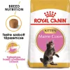 Royal Canin Maine Coon Kitten Száraz Macskatáp - 2 kg