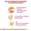 Royal Canin Maine Coon Kitten Száraz Macskatáp - 2 kg