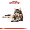 Royal Canin Maine Coon Adult Száraz Macskatáp - 400 g