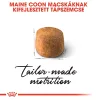 Royal Canin Maine Coon Adult Száraz Macskatáp - 2 kg