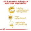Royal Canin Maine Coon Adult Száraz Macskatáp - 10 kg
