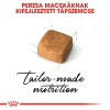 Royal Canin Persian Kitten Száraz Macskatáp - 2 kg