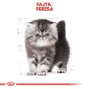 Royal Canin Persian Kitten Száraz Macskatáp - 2 kg
