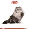 Royal Canin Persian Adult Száraz Macskatáp - 4 kg