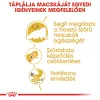 Royal Canin Persian Adult Száraz Macskatáp - 10 kg