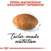 Royal Canin Persian Adult Száraz Macskatáp - 10 kg