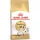 Royal Canin Siamese Adult Száraz Macskatáp - 400 g