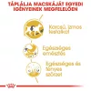 Royal Canin Siamese Adult Száraz Macskatáp - 400 g