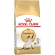 Royal Canin Siamese Adult Száraz Macskatáp - 2 kg