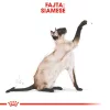 Royal Canin Siamese Adult Száraz Macskatáp - 2 kg
