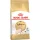 Royal Canin Sphynx Adult Száraz Macskatáp - 2 kg