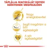 Royal Canin Sphynx Adult Száraz Macskatáp - 2 kg