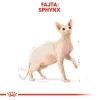 Royal Canin Sphynx Adult Száraz Macskatáp - 2 kg