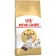 Royal Canin Ragdoll Adult Száraz Macskatáp - 2 kg
