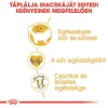Royal Canin Ragdoll Adult Száraz Macskatáp - 2 kg