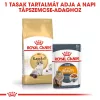 Royal Canin Ragdoll Adult Száraz Macskatáp - 2 kg