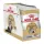 Royal Canin Maine Coon Adult Alutasakos Macskaeledel - 12x85 g