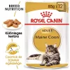 Royal Canin Maine Coon Adult Alutasakos Macskaeledel - 12x85 g