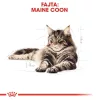 Royal Canin Maine Coon Adult Alutasakos Macskaeledel - 12x85 g