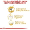 Royal Canin British Shorthair Adult Alutasakos Macskaeledel - 85 g