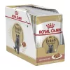 Royal Canin British Shorthair Adult Alutasakos Macskaeledel - 12x85 g