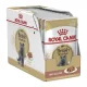 Royal Canin British Shorthair Adult Alutasakos Macskaeledel - 12x85 g