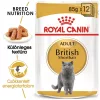 Royal Canin British Shorthair Adult Alutasakos Macskaeledel - 12x85 g