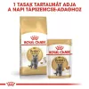 Royal Canin British Shorthair Adult Alutasakos Macskaeledel - 12x85 g