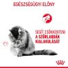 Royal Canin Hairball Care Száraz Macskatáp - 400 g