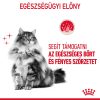 Royal Canin Hairball Care Száraz Macskatáp - 2 kg